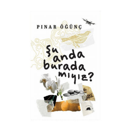 Şu Anda Burada Mıyız?