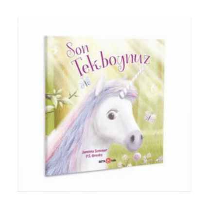 Son Unicorn Tekboynuz
