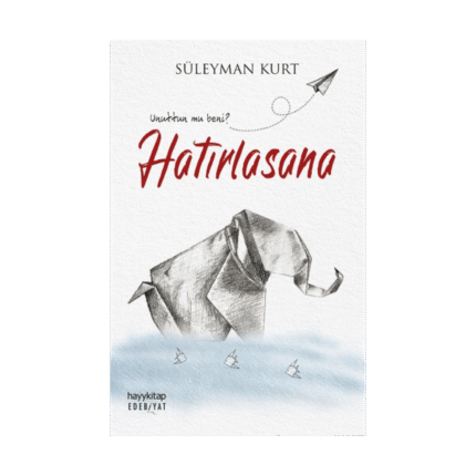 Hatırlasana-Süleyman Kurt-Hayykitap Yayınları