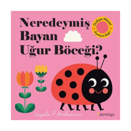 Neredeymiş Bayan Uğur Böceği?