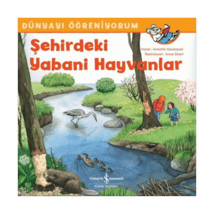 Şehirdeki Yabani Hayvanlar - Dünyayı Öğreniyorum