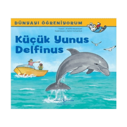 Küçük Yunus Delfinus