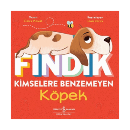 Fındık Kimselere Benzemeyen Köpek