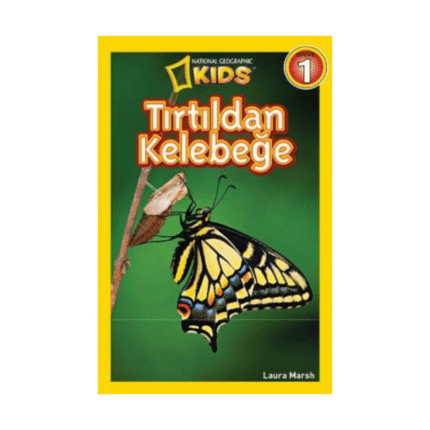 Tırtıldan Kelebeğe