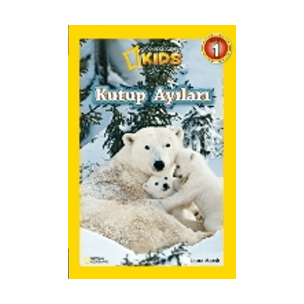 e64fb-kutup-ayilari-1-1.png Kutup Ayıları - Görsel 1