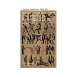 Bay Pond’un Paradoksları - Ciltli