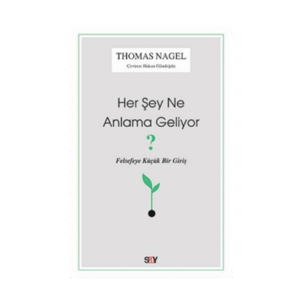 Her Şey Ne Anlama Geliyor?