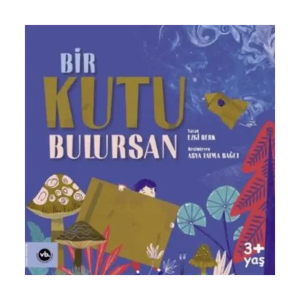 Bir Kutu Bulursan
