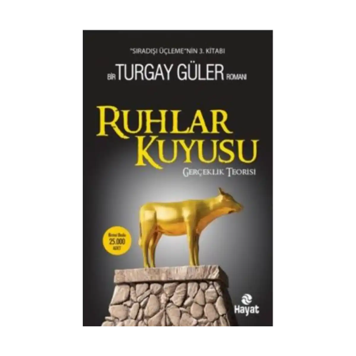 03586-ruhlar-kuyusu-1-1.webp Ruhlar Kuyusu - Görsel 1