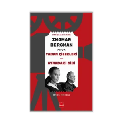 Yaban Çilekleri - Aynadaki Gibi