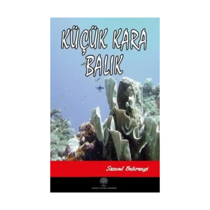 Küçük Kara Balık