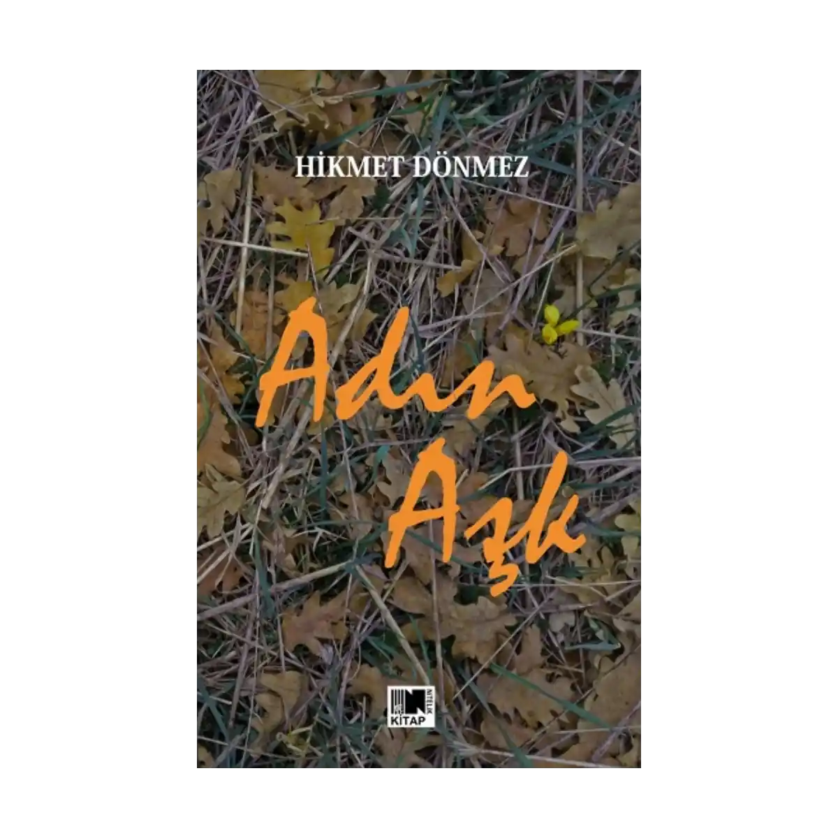 0a96b-adin-ask-1-1.webp Adın Aşk - Görsel 1