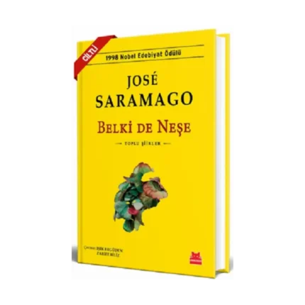 Belki de Neşe (Ciltli)
