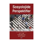 Sosyolojide Perspektifler