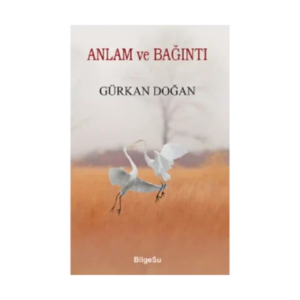Anlam Ve Bağıntı