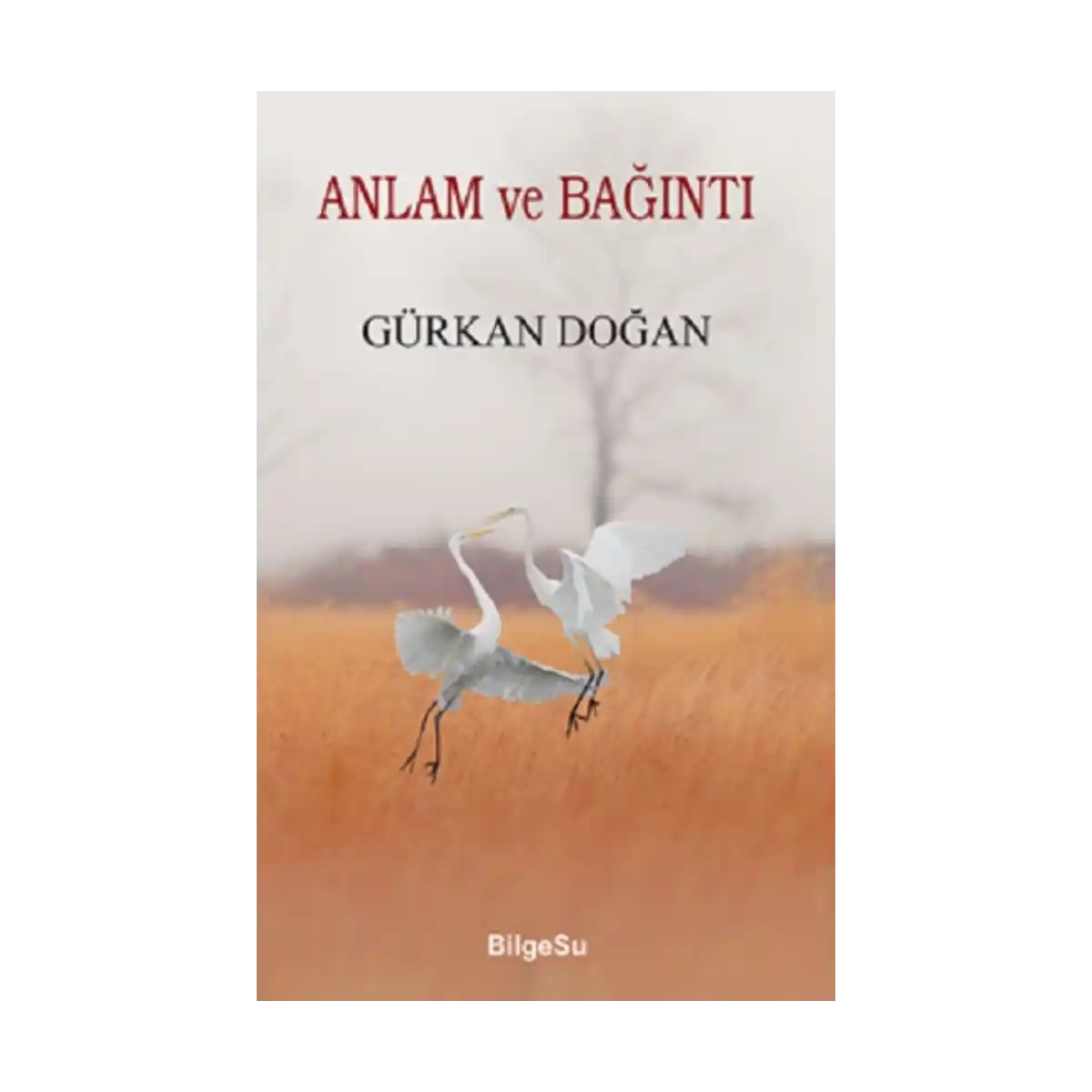 12bac-anlam-ve-baginti-1-1.webp Anlam Ve Bağıntı - Görsel 1