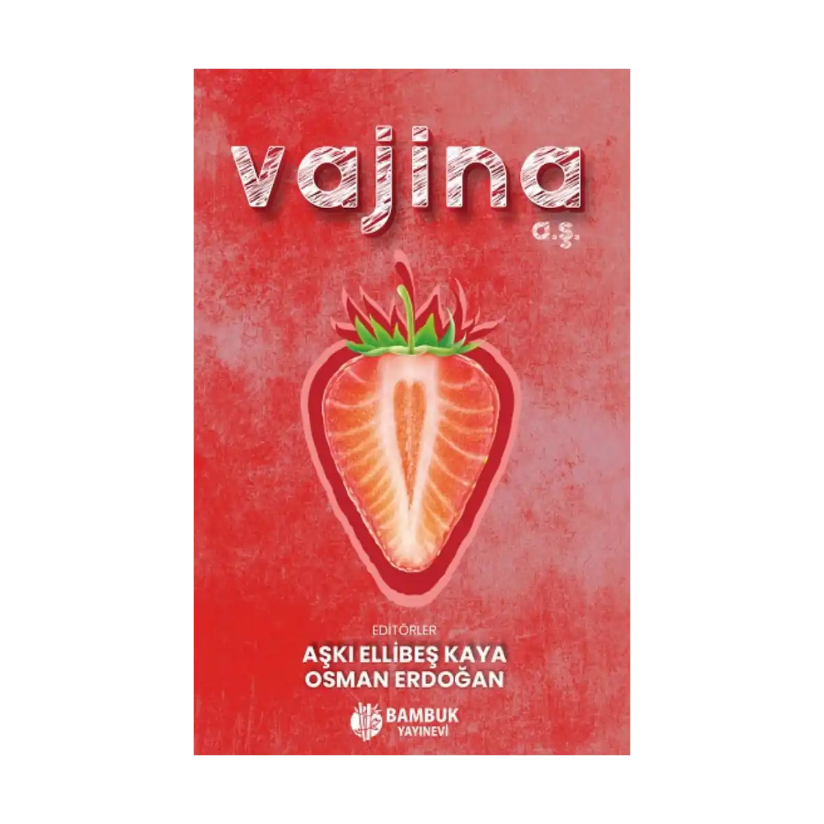 1459b-vajina-a-s-1-1.webp Vajina A.Ş. - Görsel 1