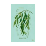 Söğüt Ne Söylüyor ?