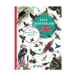 Muhteşem Kuşlar - Doğa Çıkartmaları