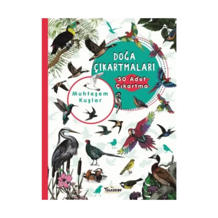 Muhteşem Kuşlar - Doğa Çıkartmaları