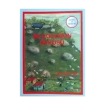 İki Çocuğun Öyküsü