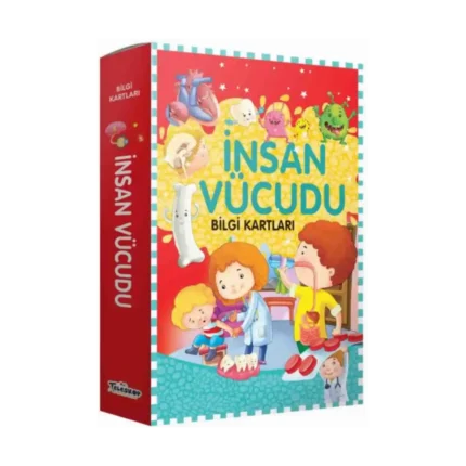Bilgi Kartları - İnsan Vücudu