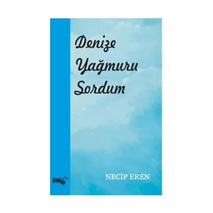 Denize Yağmuru Sordum