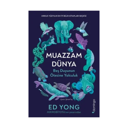 Muazzam Dünya