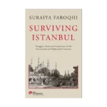 Surviving İstanbul