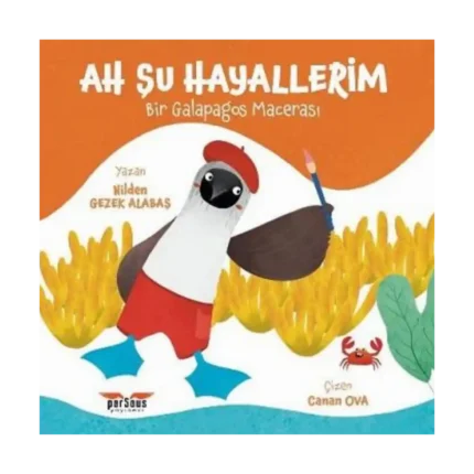 Ah Şu Hayallerim