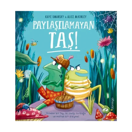 Paylaşılamayan Taş