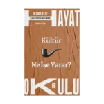 Kültür Ne İşe Yarar? - The School of Life / Hayat Okulu