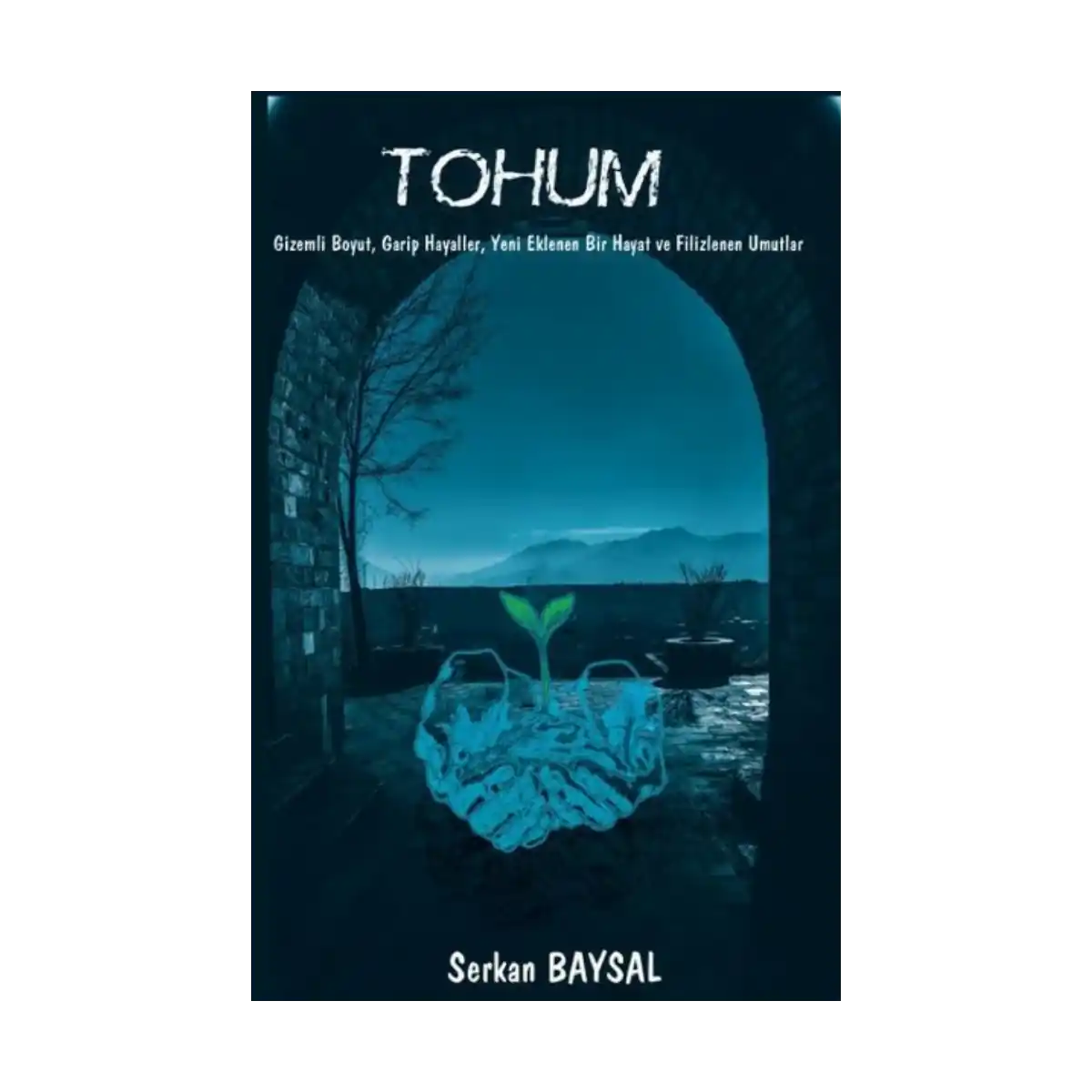 34121-tohum-1-1.webp Tohum - Görsel 1