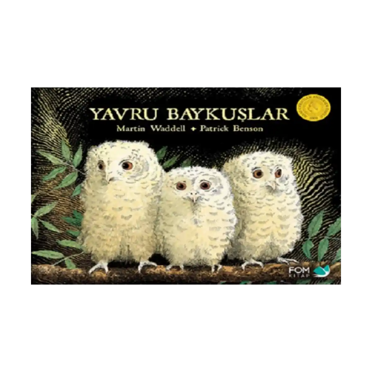 373ca-yavru-baykuslar-1-1.webp Yavru Baykuşlar - Görsel 1