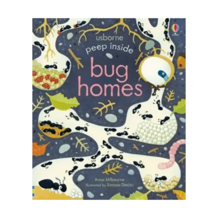 Peep Inside Bug Homes