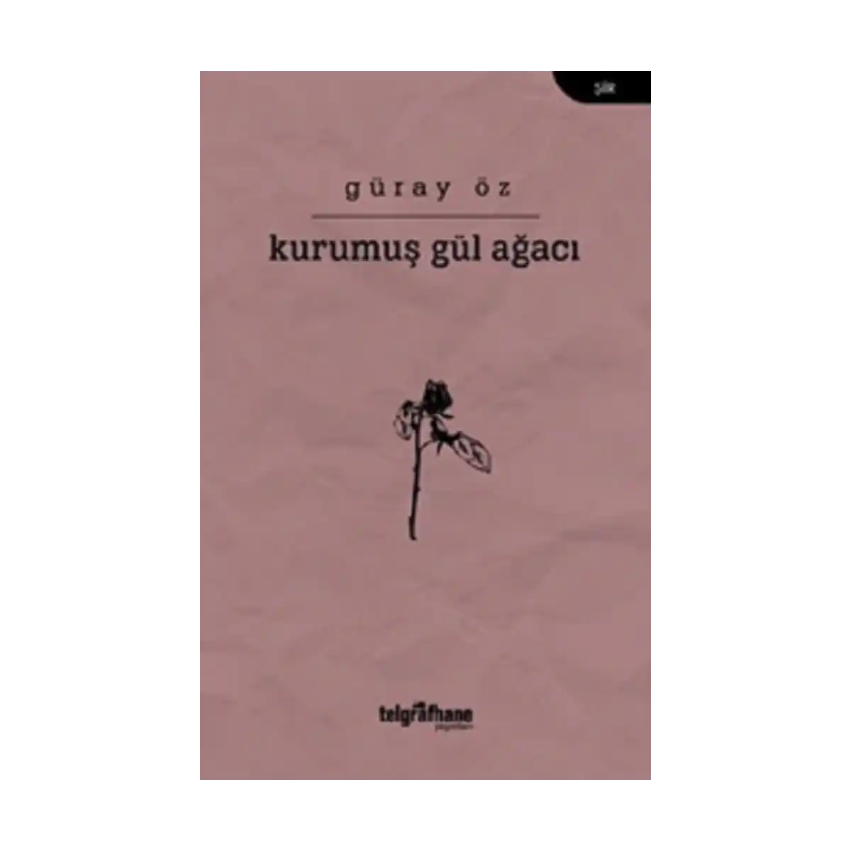3d653-kurumus-gul-agaci-1-1.webp Kurumuş Gül Ağacı - Görsel 1