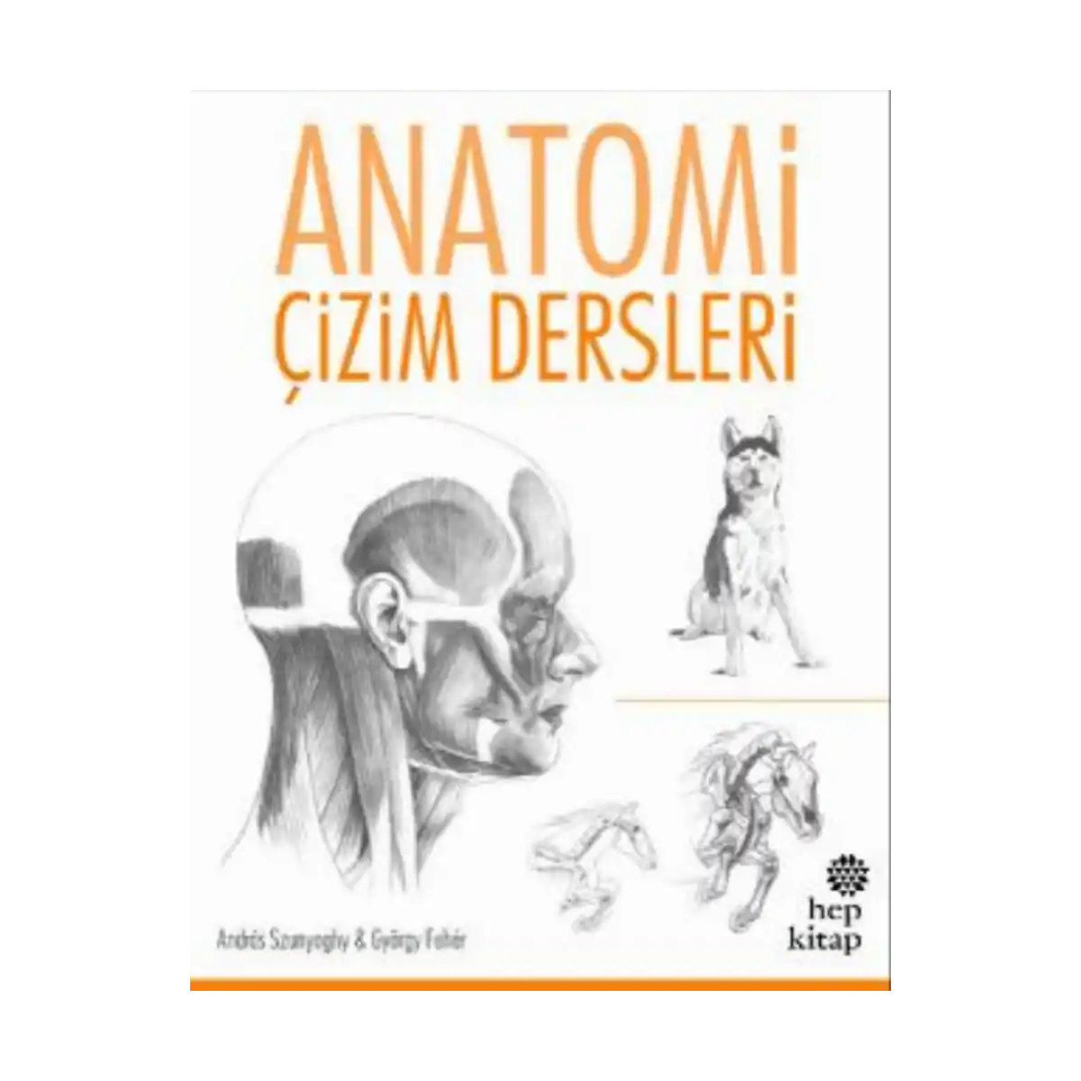 3db2a-anatomi-cizim-dersleri-1-1.webp Anatomi Çizim Dersleri - Görsel 1