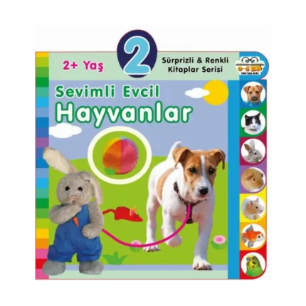Yaş Sevimli Evcil Hayvanlar (2+Yaş)