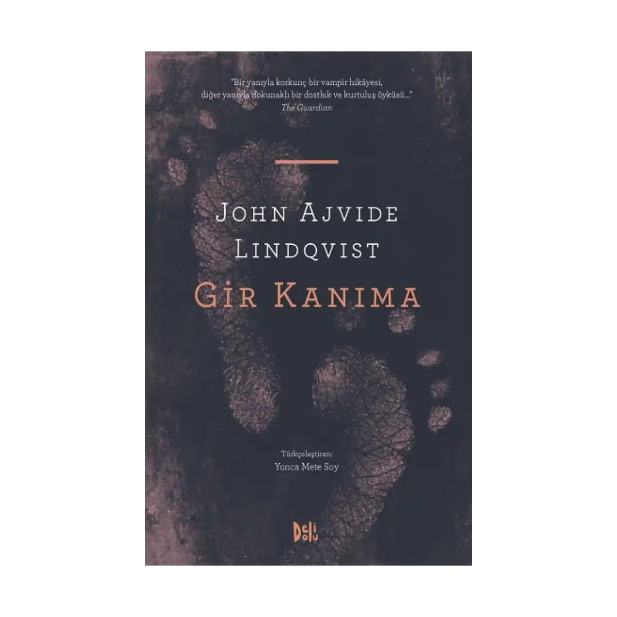 424b6-gir-kanima-1-1.webp Gir Kanıma - Görsel 1