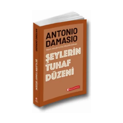 Şeylerin Tuhaf Düzeni