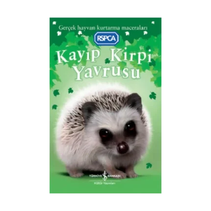 Kayıp Kirpi Yavrusu