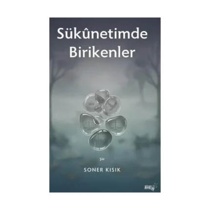 Sukunetimde Birikenler
