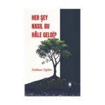 Her Şey Nasıl Bu Hale Geldi?