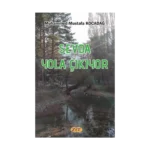 Sevda Yola Çıkıyor