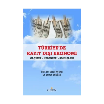 Türkiye'de Kayıt Dışı Ekonomi