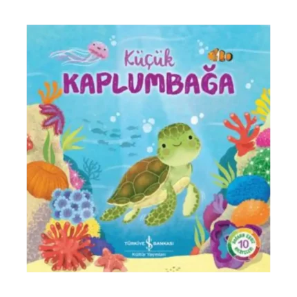 Küçük Kaplumbağa