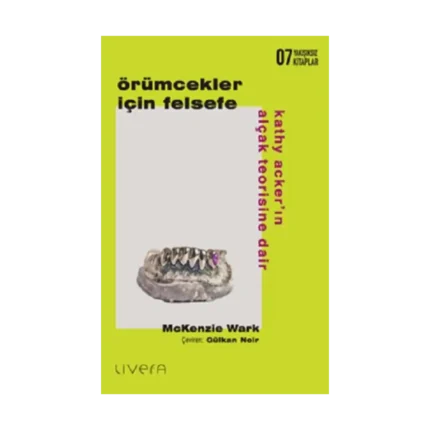 Örümcekler İçin Felsefe: Kathy Acker’ın Alçak Teorisine Dair
