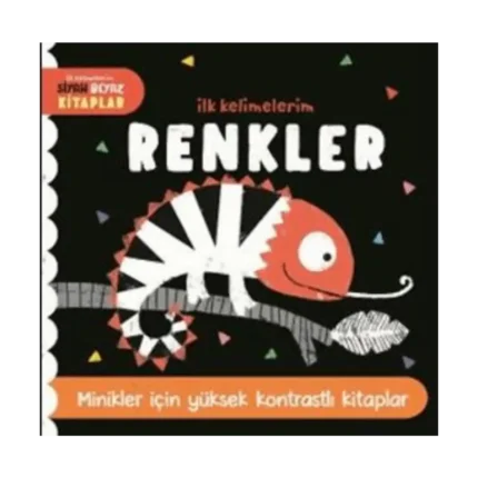 İlk Kelimelerim Renkler