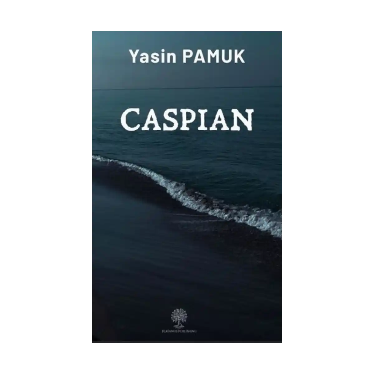 638b5-caspian-1-1.webp Caspian - Görsel 1