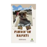 Fındık'ın Hayatı